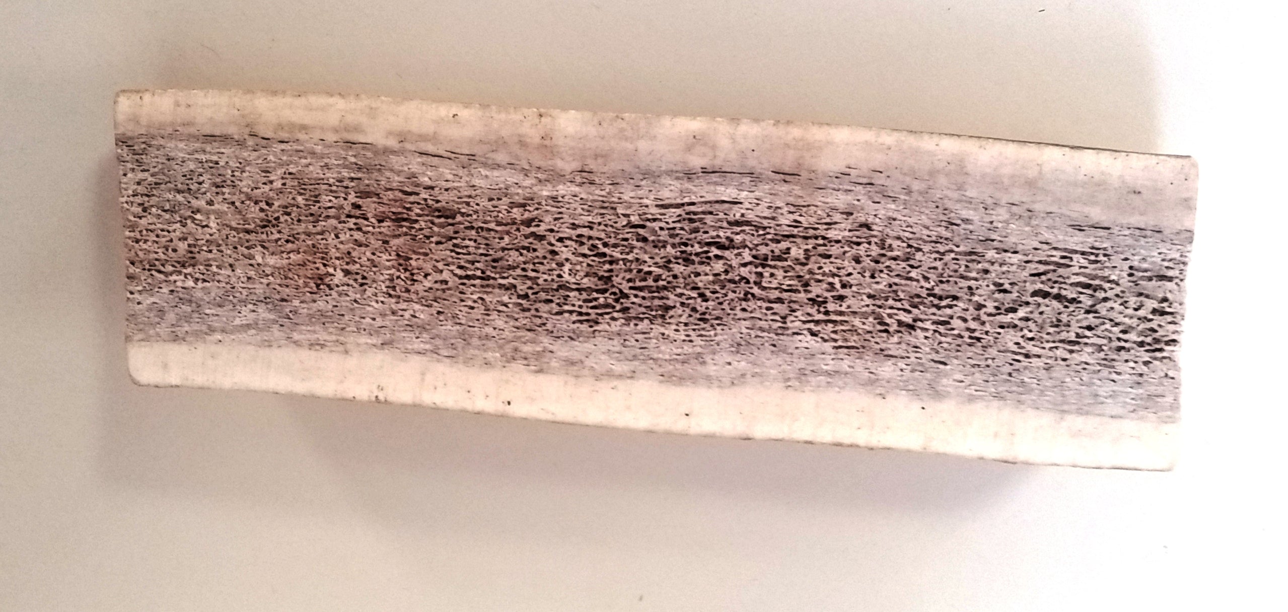 Antler Chews for Dogs