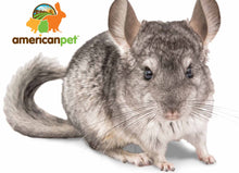 Load image into Gallery viewer, 25% Off Timmy Chinchilla and Timothy High Fiber Hay Bundle