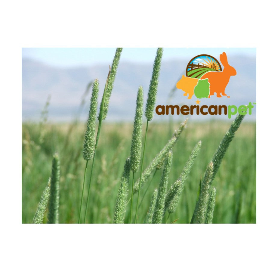 25% Off Timothy High Fiber 5lb Box - 2 Pack