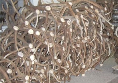 Antler Chews for Dogs