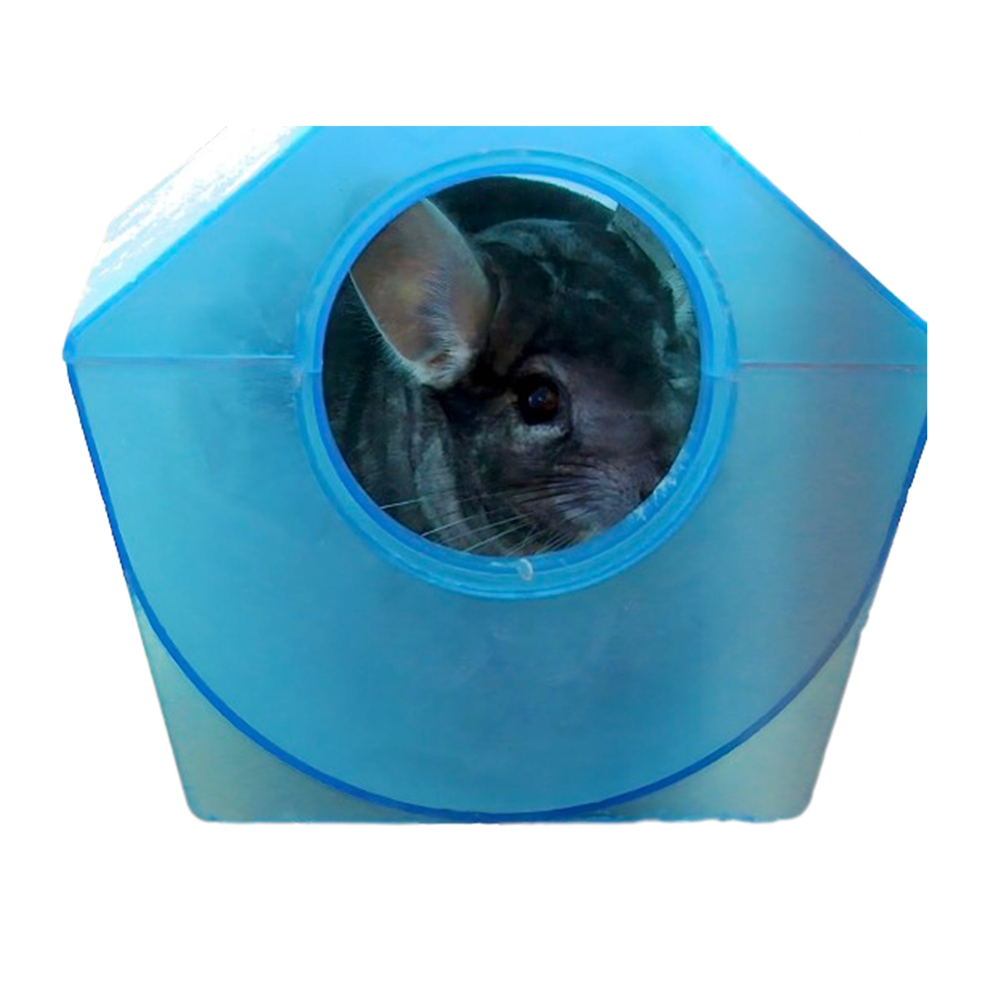 Chinchilla Premium Dry Dust Bath