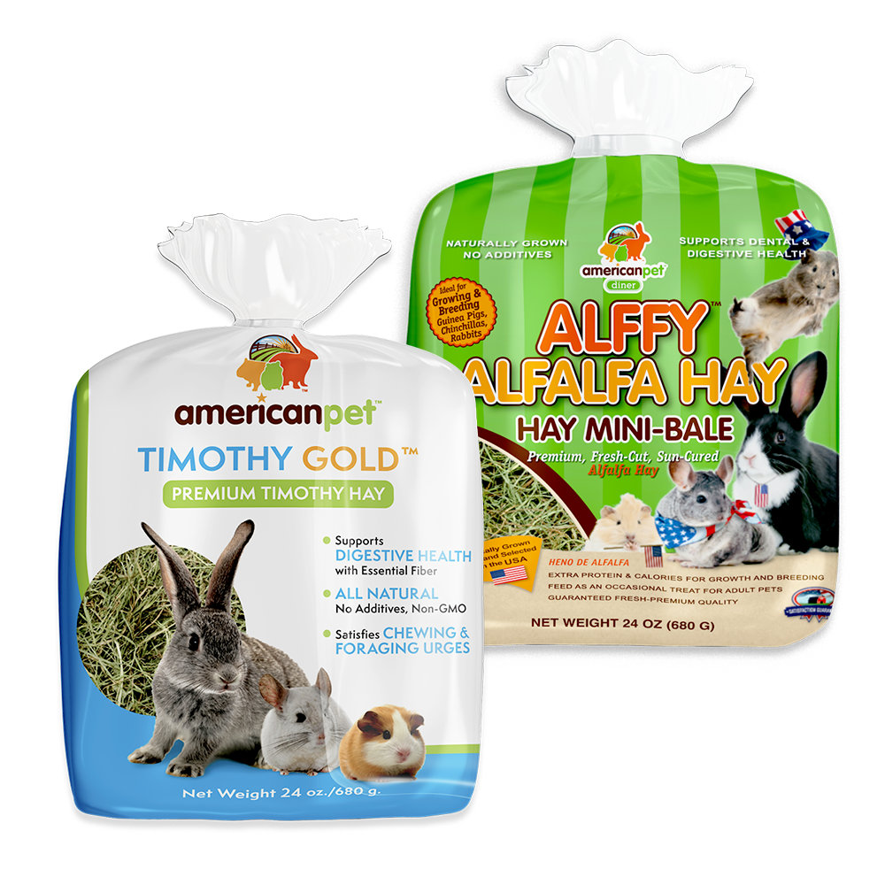 Pasture Premium - Timothy Gold and Alffy Alfalfa Hay combo