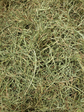 Load image into Gallery viewer, 25% Off Timmy Chinchilla and Timothy High Fiber Hay Bundle