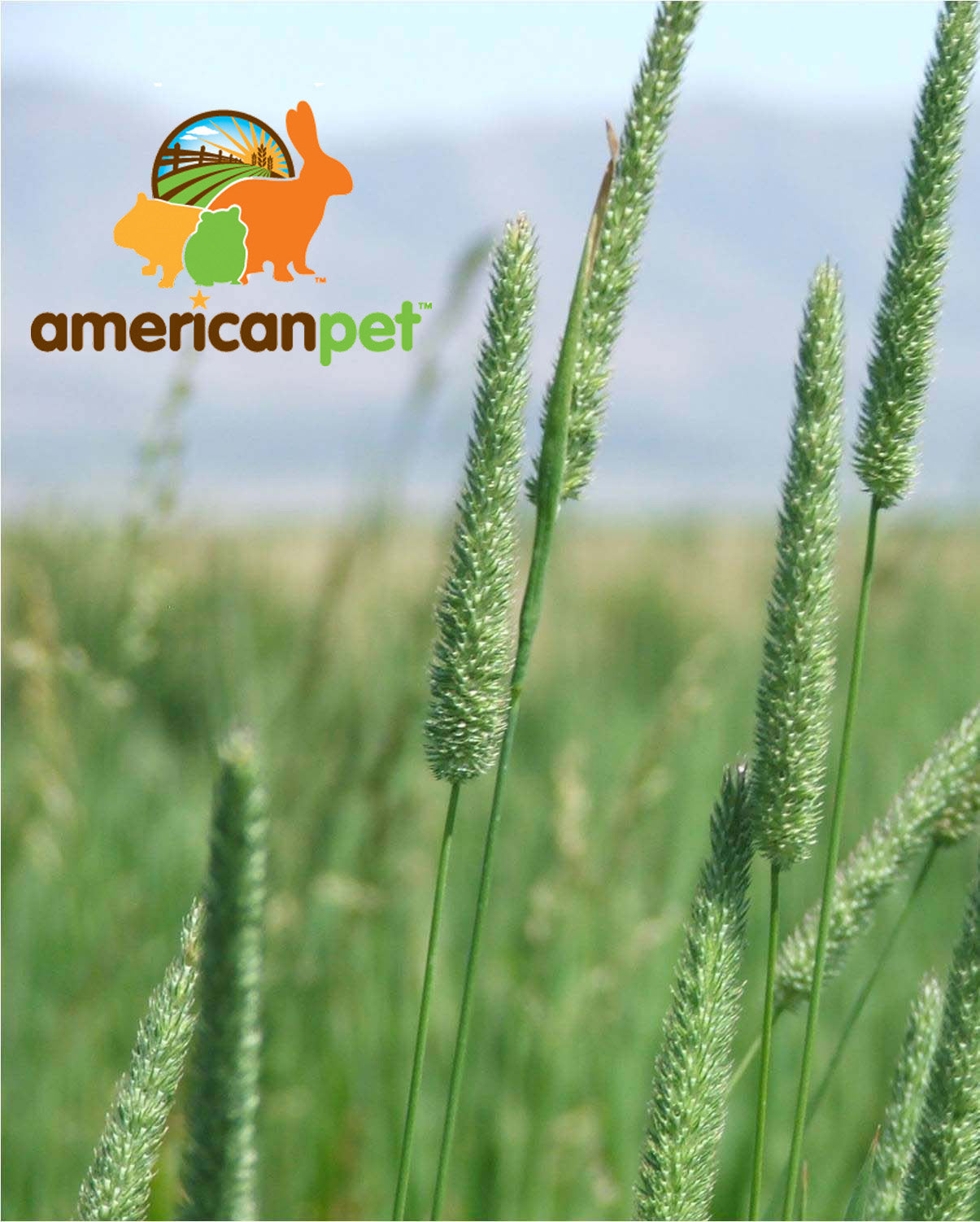 Feedtastic Probiotic Timothy Hay