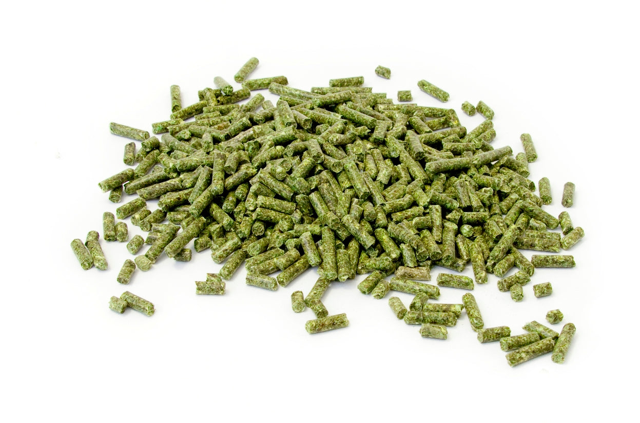 Timmy Rabbit Pellet Food