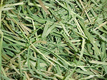 Load image into Gallery viewer, 25% Off Timmy Guinea Pig 3lb and Timothy Gold Hay 5lb Bundle