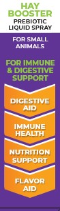 Feedtastic Healthy Bundle - 4 Items Complete Probiotic Diet #581, Hay Booster #550, Hydrate #588, Probiotic Gel #548