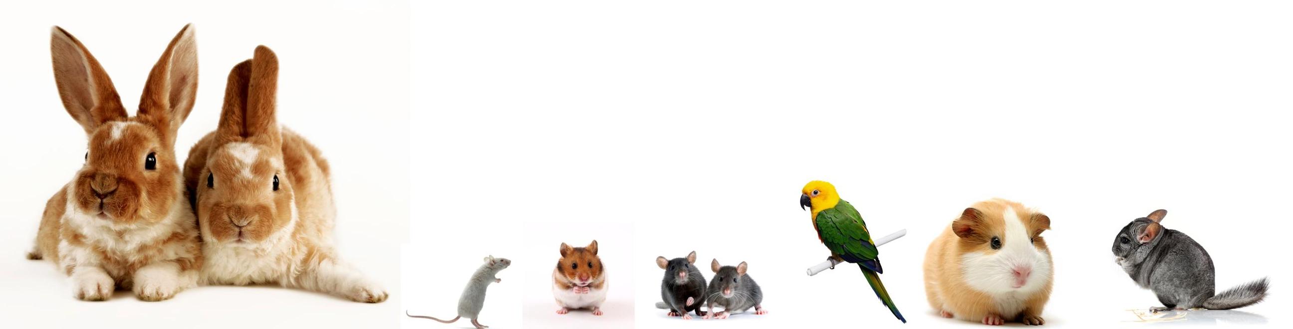 Mountain Grass Smaks Pellet Treat