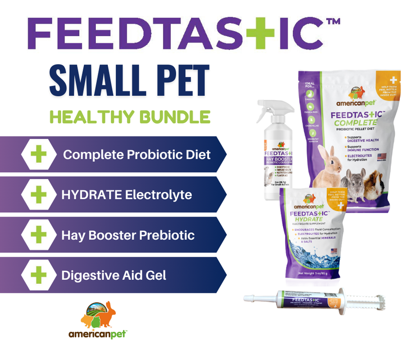 Feedtastic Healthy Bundle - 4 Items Complete Probiotic Diet #581, Hay Booster #550, Hydrate #588, Probiotic Gel #548