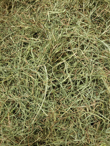 25% Off Timmy Rabbit 5lb and Timothy High Fiber Hay 5lb Bundle