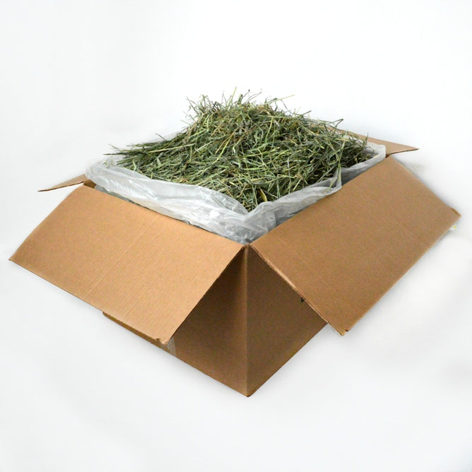 Mountain Grass Hay (Orchard Grass)