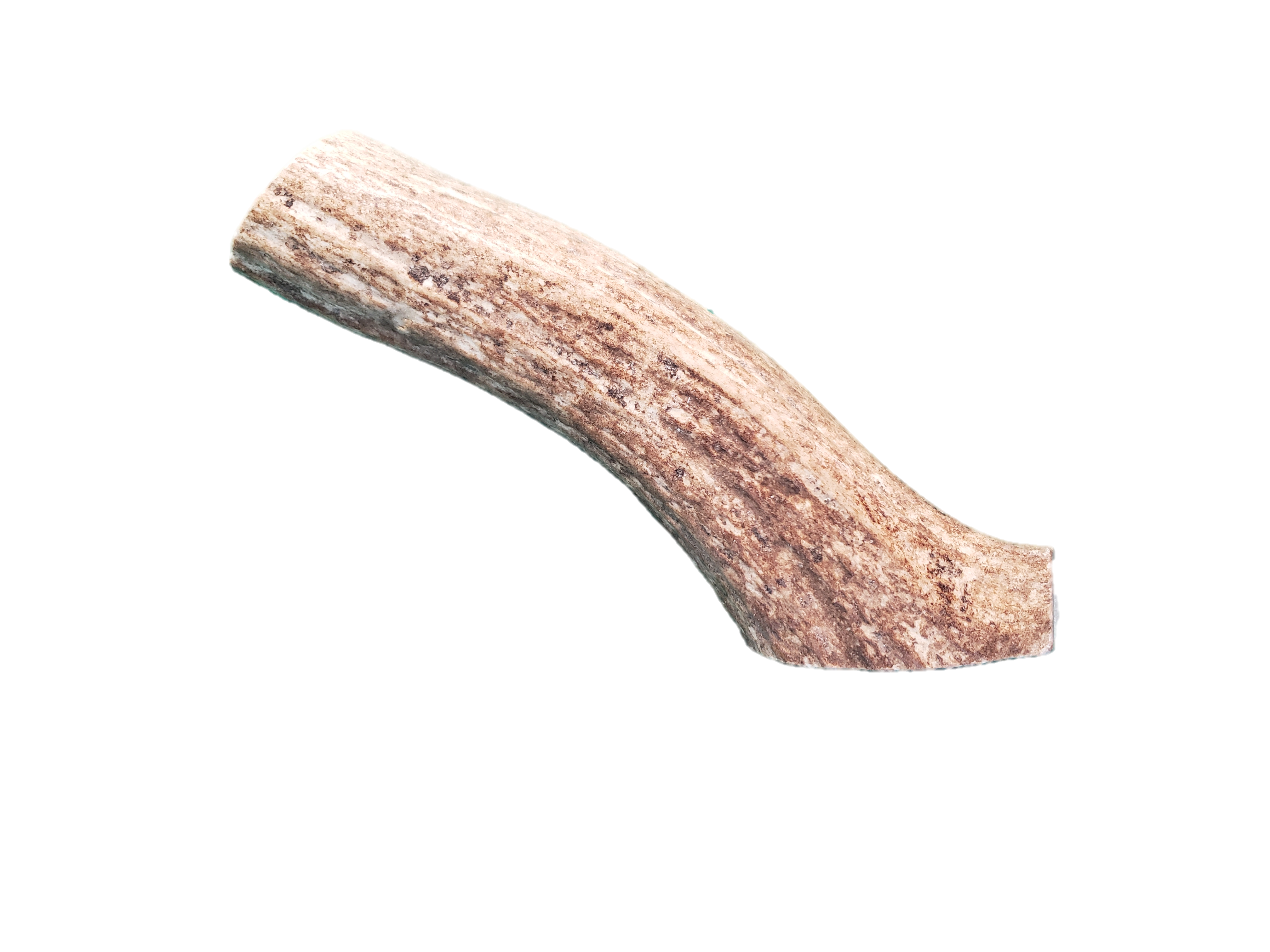 Whole Antler Chews for Dogs